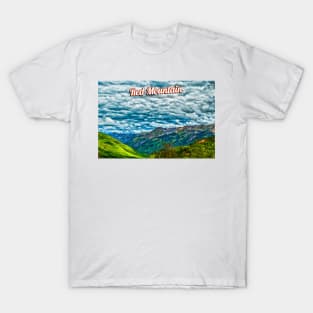 Red Mountain Creek Valley on the San Juan Skyway T-Shirt